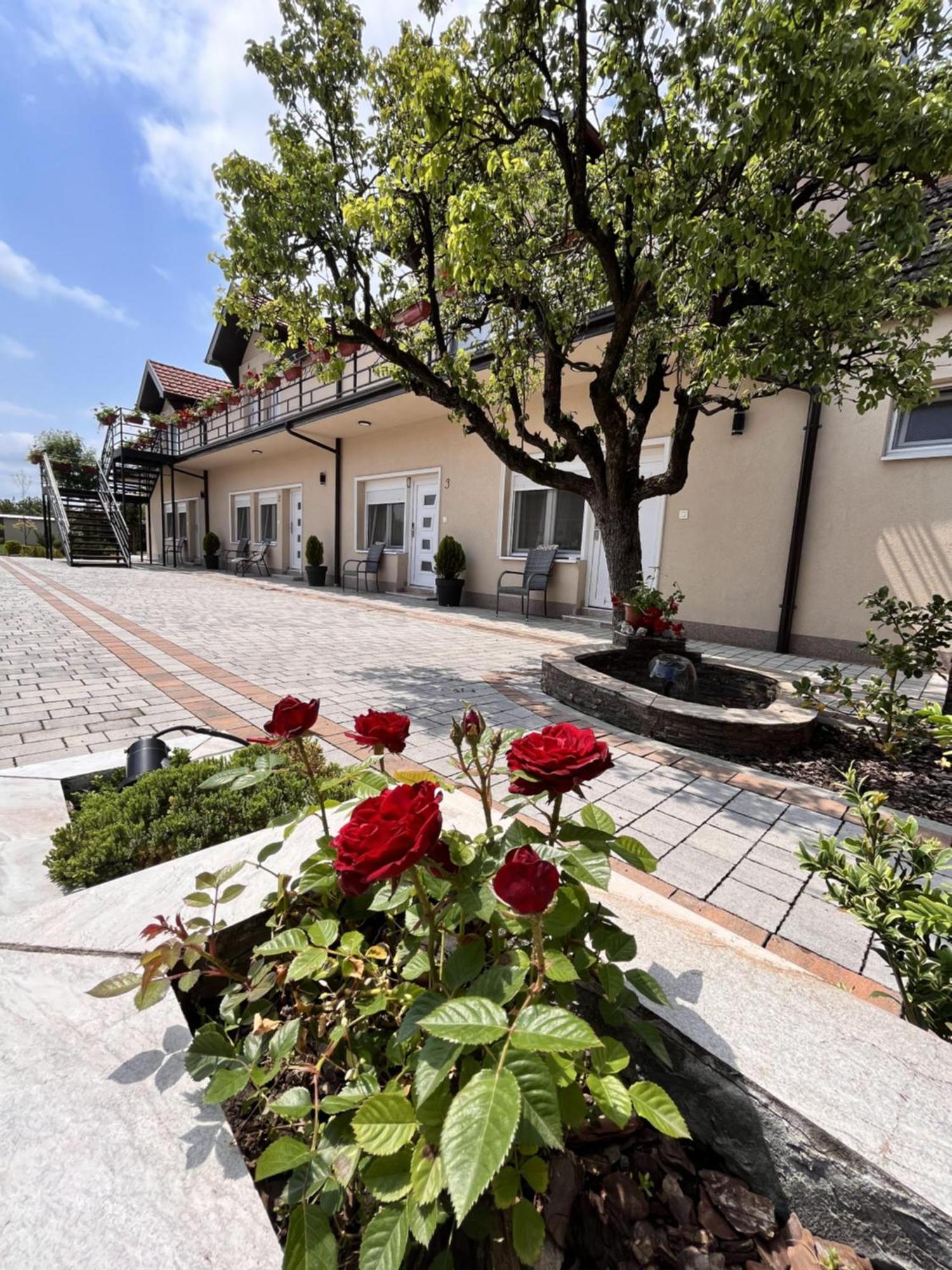 Kovac Residence Zrenjanin Exterior photo
